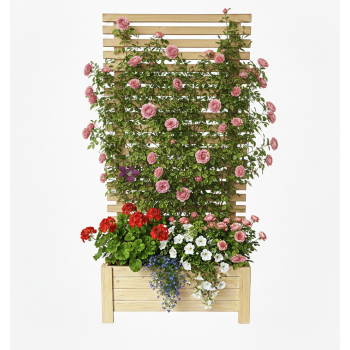 Donica drewniana CANAT z pergolą horyzontalną tarasowa balkonowa BEZBARWNA